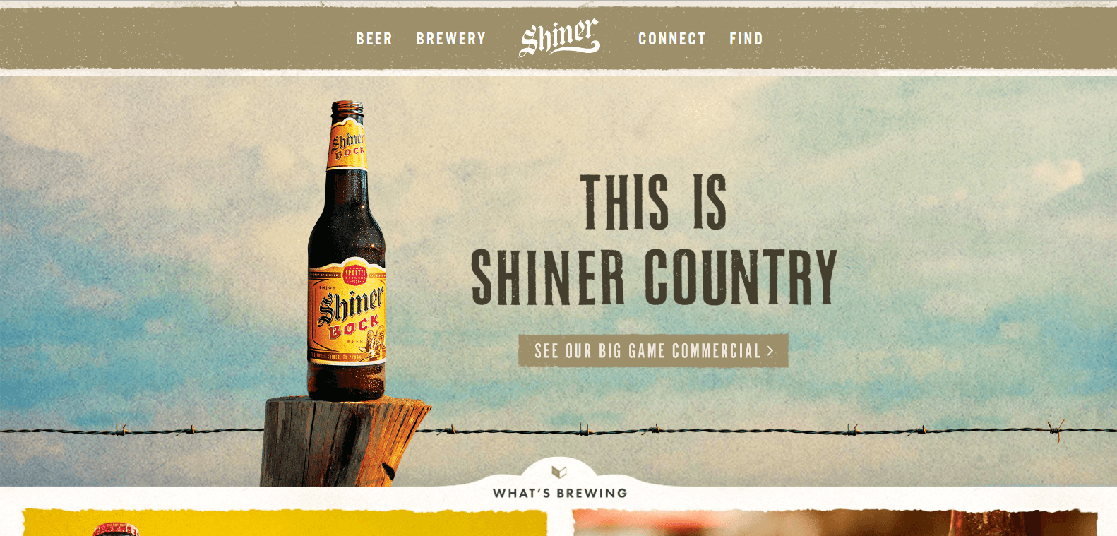 web design ideas shiner