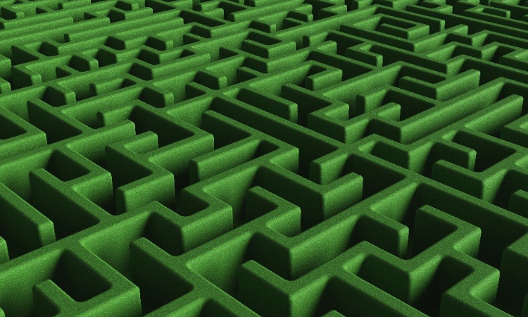 image of a large green maze
